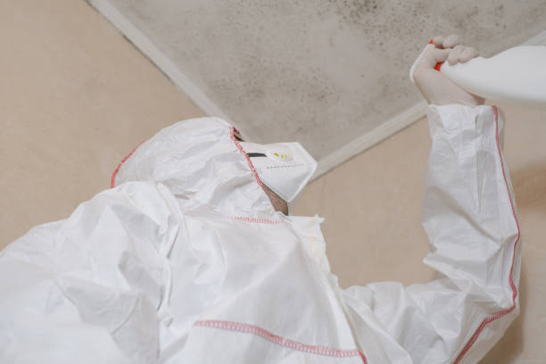 Best Certified Mold Removal  in Lawrence, NY