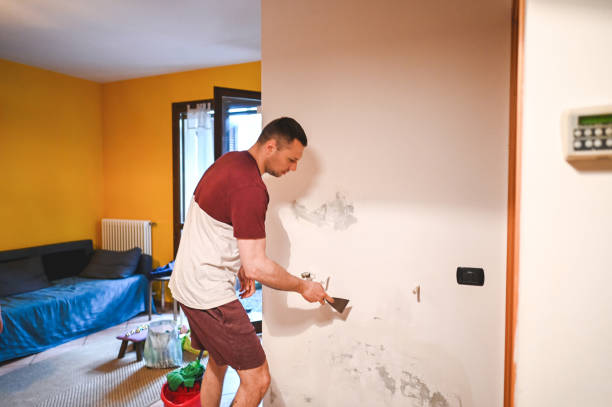 Best Home Mold Removal  in Lawrence, NY